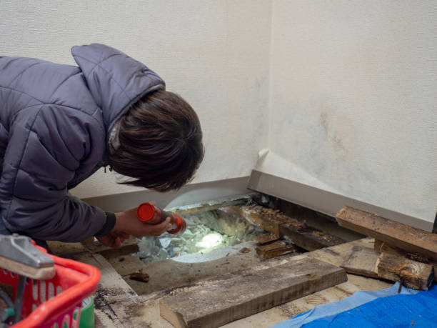 Best Mold Removal for HVAC Installations  in Terra Bella, CA
